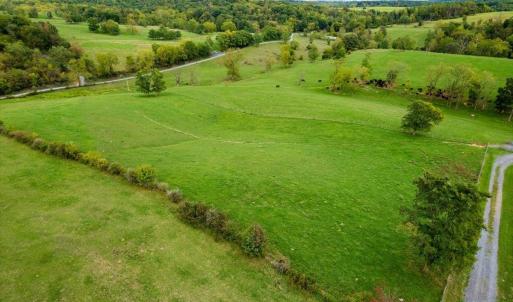 Photo #4 of TBD KNUPP RD, TIMBERVILLE, VA 6.1 acres