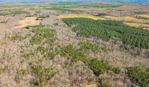 Photo #7 of 12145 CONSTITUTION RTE, SCOTTSVILLE, VA 227.6 acres