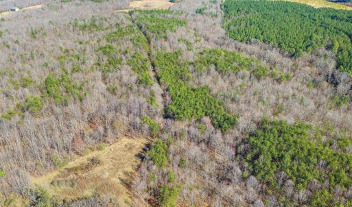 Photo #14 of 12145 CONSTITUTION RTE, SCOTTSVILLE, VA 227.6 acres