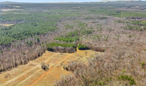 Photo #3 of 12145 CONSTITUTION RTE, SCOTTSVILLE, VA 227.6 acres