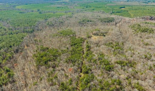 Photo #4 of 12145 CONSTITUTION RTE, SCOTTSVILLE, VA 227.6 acres