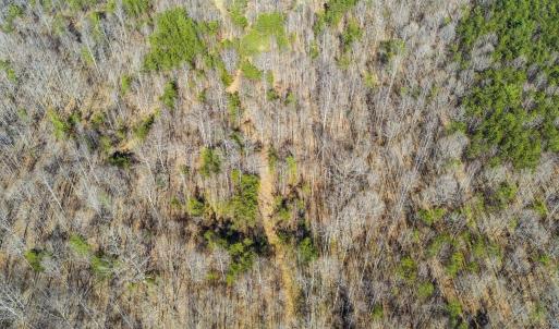 Photo #12 of 12145 CONSTITUTION RTE, SCOTTSVILLE, VA 227.6 acres