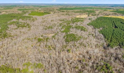 Photo #11 of 12145 CONSTITUTION RTE, SCOTTSVILLE, VA 227.6 acres