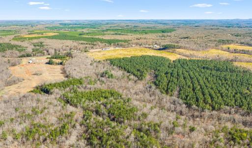 Photo #6 of 12145 CONSTITUTION RTE, SCOTTSVILLE, VA 227.6 acres