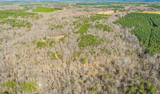 Photo #10 of 12145 CONSTITUTION RTE, SCOTTSVILLE, VA 227.6 acres