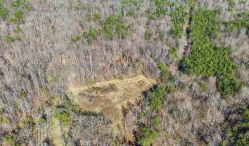 Photo #13 of 12145 CONSTITUTION RTE, SCOTTSVILLE, VA 227.6 acres