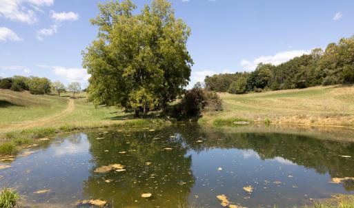 Photo #11 of 1370 MIDDLEBROOK RD, STAUNTON, VA 123.7 acres