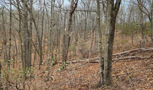 Photo #4 of TBD JACK MOUNTAIN RD, DOE HILL, VA 33.8 acres