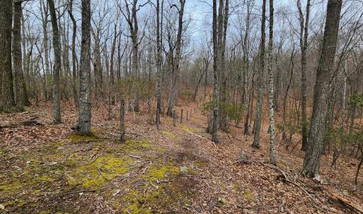 Photo #5 of TBD JACK MOUNTAIN RD, DOE HILL, VA 33.8 acres
