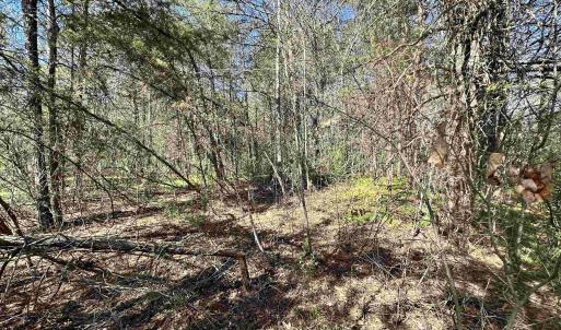 Photo #3 of INDIAN TRACE TRL, UNIONVILLE, VA 11.0 acres