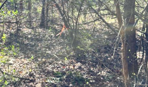 Photo #14 of INDIAN TRACE TRL, UNIONVILLE, VA 11.0 acres