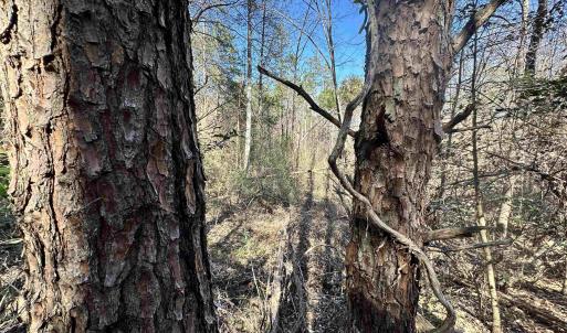 Photo #6 of INDIAN TRACE TRL, UNIONVILLE, VA 11.0 acres