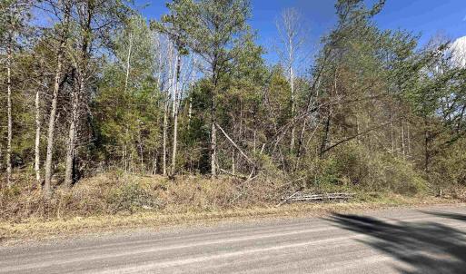 Level lot in front, then gradually slopes downward to Terry's Run at lot rear.