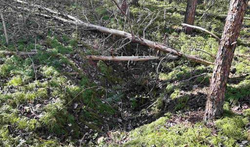 Photo #11 of INDIAN TRACE TRL, UNIONVILLE, VA 11.0 acres