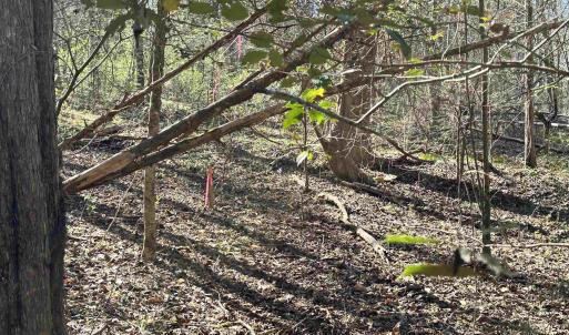Photo #8 of INDIAN TRACE TRL, UNIONVILLE, VA 11.0 acres