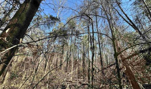 Photo #7 of INDIAN TRACE TRL, UNIONVILLE, VA 11.0 acres