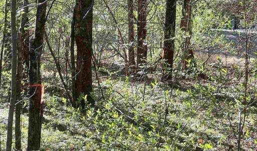 Photo #12 of INDIAN TRACE TRL, UNIONVILLE, VA 11.0 acres