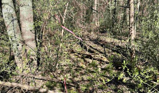 Photo #10 of INDIAN TRACE TRL, UNIONVILLE, VA 11.0 acres