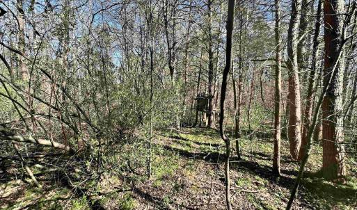 Photo #4 of INDIAN TRACE TRL, UNIONVILLE, VA 11.0 acres