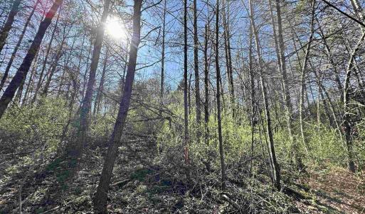 Photo #5 of INDIAN TRACE TRL, UNIONVILLE, VA 11.0 acres