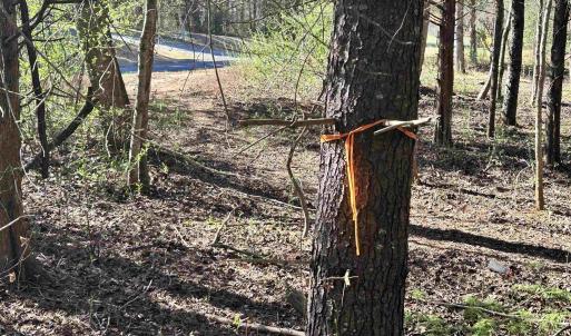 Photo #13 of INDIAN TRACE TRL, UNIONVILLE, VA 11.0 acres