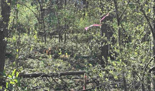 Photo #9 of INDIAN TRACE TRL, UNIONVILLE, VA 11.0 acres
