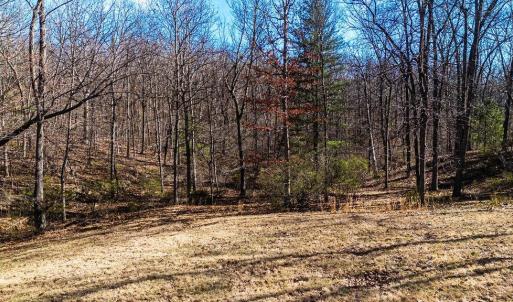 Photo #9 of Lot 11 FARMINGTON DR, STAUNTON, VA 2.1 acres