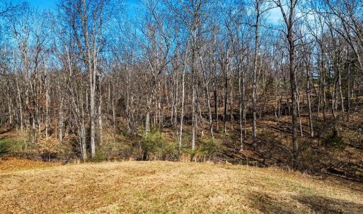 Photo #8 of Lot 11 FARMINGTON DR, STAUNTON, VA 2.1 acres
