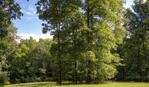 Photo #6 of Lot 11 FARMINGTON DR, STAUNTON, VA 2.1 acres