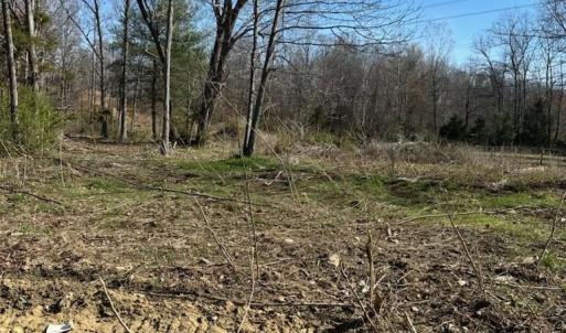 Photo #1 of TBD CRIMORA MINE RD, CRIMORA, VA 15.9 acres