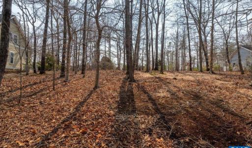 Photo #17 of 168 CEDAR GLEN CLOSE, NELLYSFORD, VA 0.4 acres