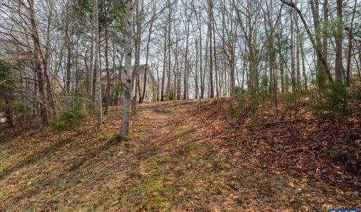 Photo #16 of 168 CEDAR GLEN CLOSE, NELLYSFORD, VA 0.4 acres