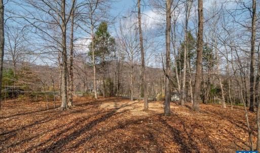 Photo #1 of 168 CEDAR GLEN CLOSE, NELLYSFORD, VA 0.4 acres