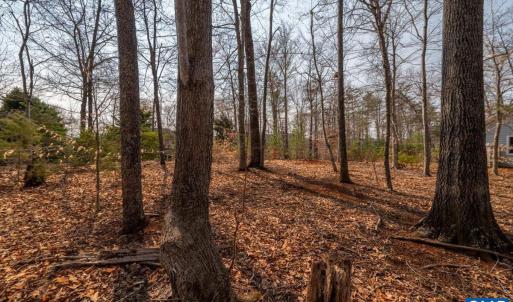 Photo #18 of 168 CEDAR GLEN CLOSE, NELLYSFORD, VA 0.4 acres