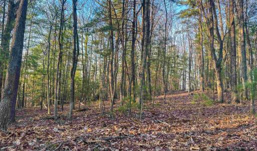 Photo #18 of 4358 DEERFIELD VALLEY RD, DEERFIELD, VA 21.5 acres