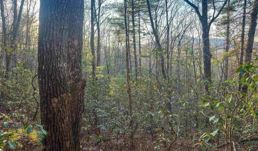 Photo #15 of 4358 DEERFIELD VALLEY RD, DEERFIELD, VA 21.5 acres