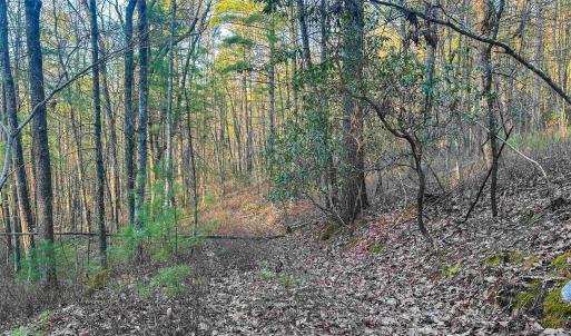 Photo #14 of 4358 DEERFIELD VALLEY RD, DEERFIELD, VA 21.5 acres