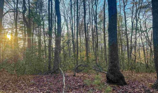 Photo #16 of 4358 DEERFIELD VALLEY RD, DEERFIELD, VA 21.5 acres