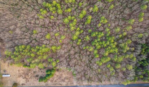 Photo #7 of 4358 DEERFIELD VALLEY RD, DEERFIELD, VA 21.5 acres