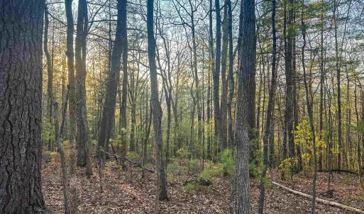 Photo #20 of 4358 DEERFIELD VALLEY RD, DEERFIELD, VA 21.5 acres