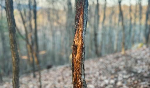 Photo #19 of 4358 DEERFIELD VALLEY RD, DEERFIELD, VA 21.5 acres