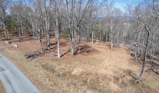 Photo #11 of NARROWS WAY, RUCKERSVILLE, VA 10.7 acres