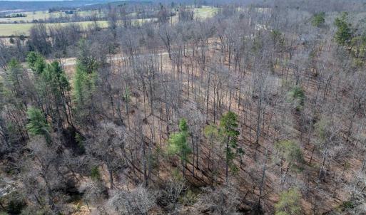 Photo #15 of NARROWS WAY, RUCKERSVILLE, VA 10.7 acres