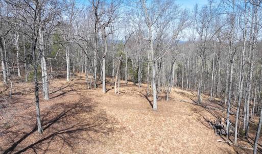 Photo #16 of NARROWS WAY, RUCKERSVILLE, VA 10.7 acres