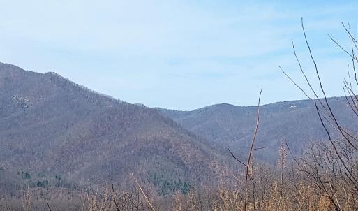 Photo #18 of 1215 BATTERY HILL LN, TYRO, VA 37.1 acres