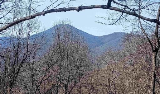 Photo #5 of 1215 BATTERY HILL LN, TYRO, VA 37.1 acres