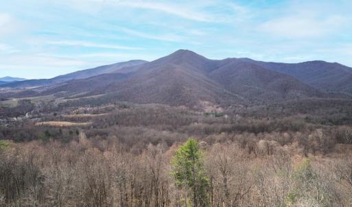 Photo #2 of 1215 BATTERY HILL LN, TYRO, VA 37.1 acres