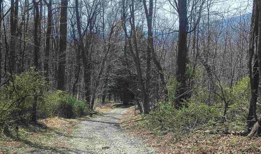Photo #39 of 1215 BATTERY HILL LN, TYRO, VA 37.1 acres