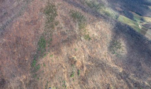 Photo #41 of 1215 BATTERY HILL LN, TYRO, VA 37.1 acres