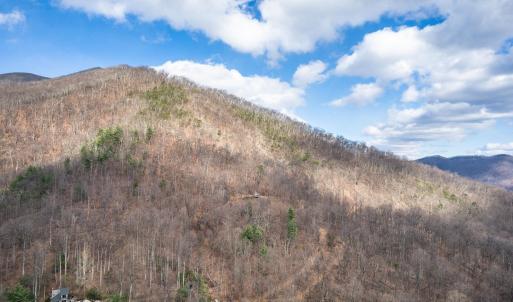 Photo #4 of 1215 BATTERY HILL LN, TYRO, VA 37.1 acres